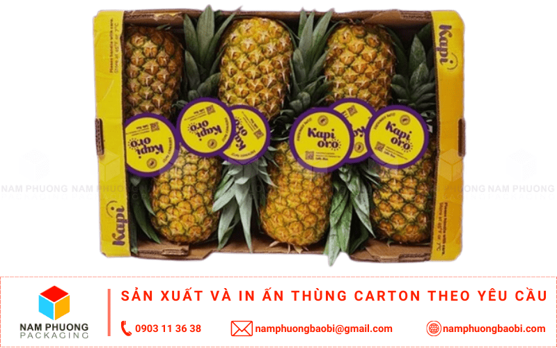 làm thùng carton đựng dứa giá rẻ ở đâu tphcm