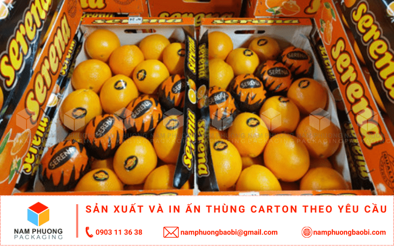 mua thùng carton đựng cam xuất khẩu giá rẻ gần tôi tphcm