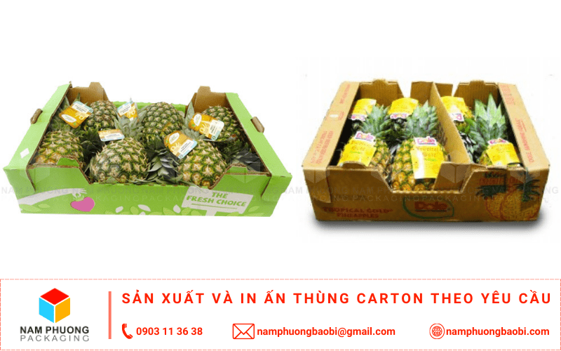 làm thùng carton đựng dứa giá rẻ ở đâu tphcm