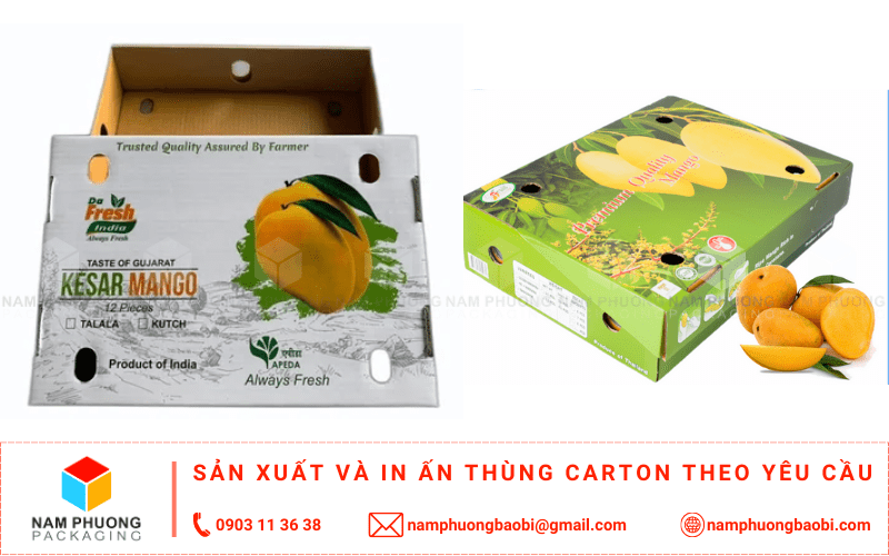 sản xuất thùng carton đựng xoài giá rẻ ở đâu