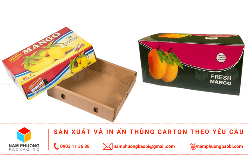 sản xuất thùng carton đựng xoài giá rẻ ở đâu