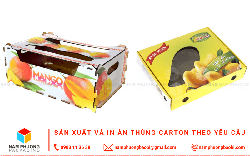 sản xuất thùng carton đựng xoài giá rẻ ở đâu