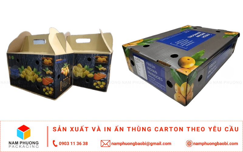 sản xuất thùng carton đựng xoài giá rẻ ở đâu