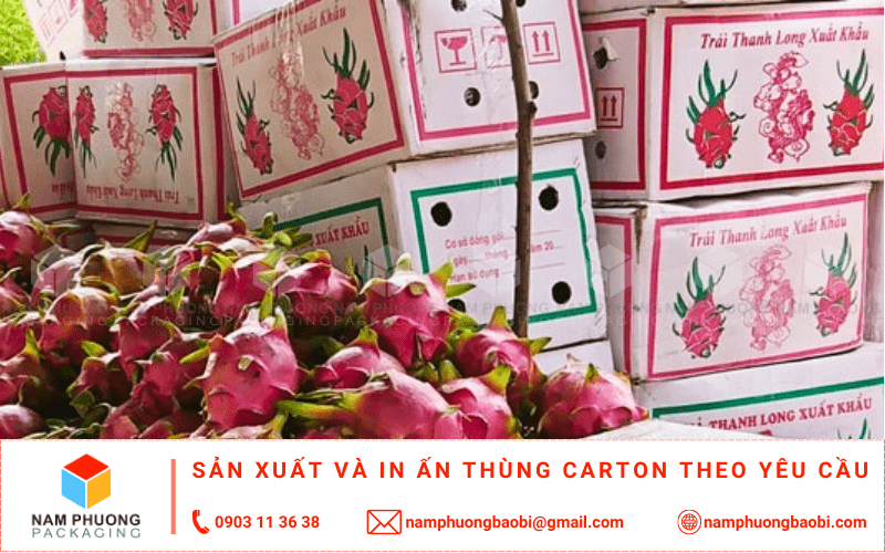 làm thùng carton đựng thanh long xuất khẩu giá rẻ có ngay tại tphcm