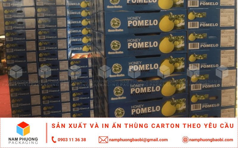 mua thùng đựng bưởi xuất khẩu giá rẻ với kích thước theo yêu cầu