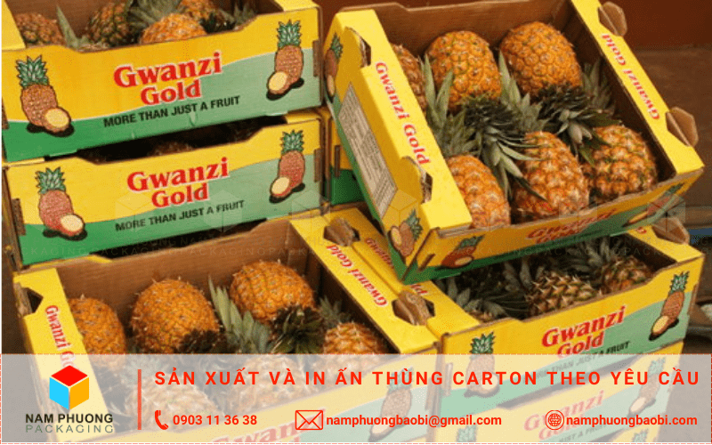 làm thùng carton đựng dứa giá rẻ ở đâu tphcm