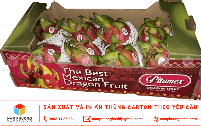 làm thùng carton đựng thanh long xuất khẩu giá rẻ có ngay tại tphcm