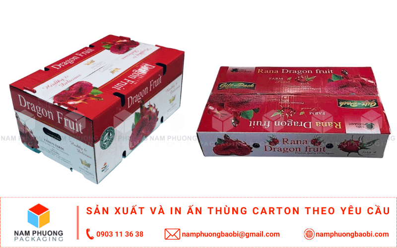 làm thùng carton đựng thanh long xuất khẩu giá rẻ có ngay tại tphcm