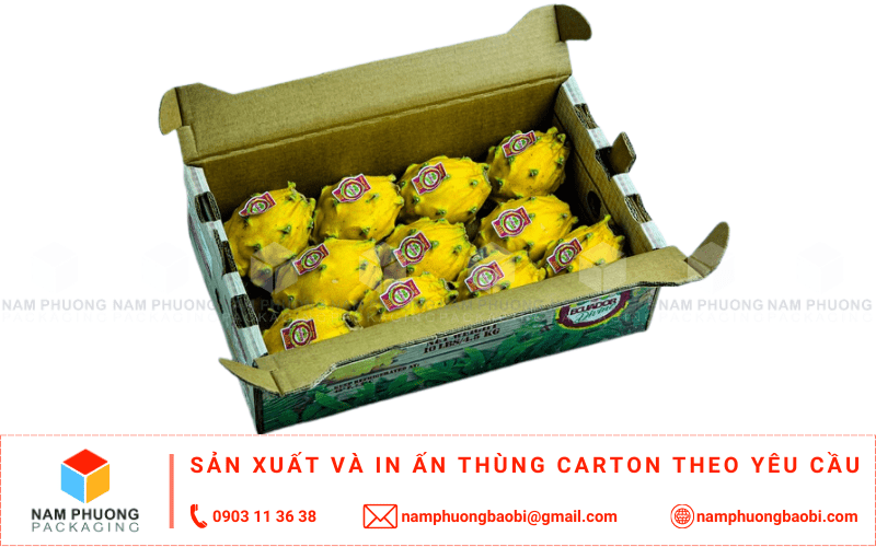 làm thùng carton đựng thanh long xuất khẩu giá rẻ có ngay tại tphcm