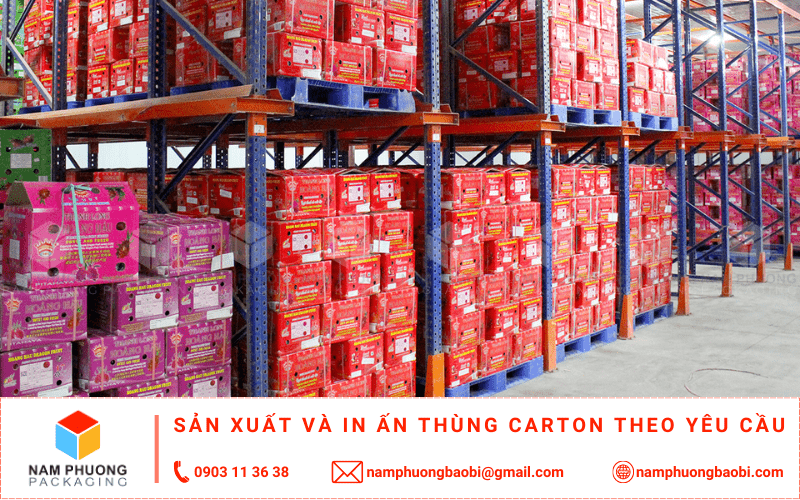 làm thùng carton đựng thanh long xuất khẩu giá rẻ có ngay tại tphcm