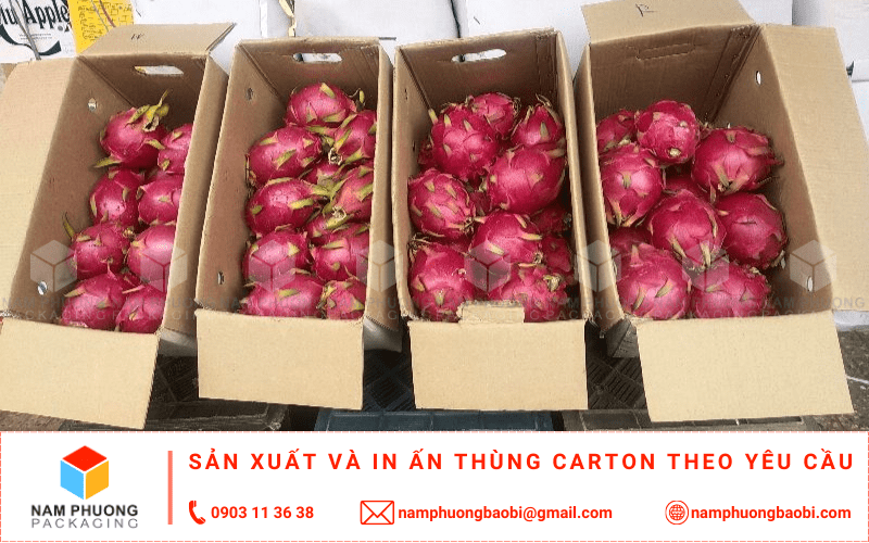 làm thùng carton đựng thanh long xuất khẩu giá rẻ có ngay tại tphcm