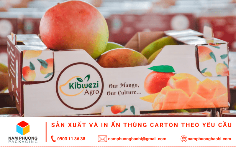 sản xuất thùng carton đựng xoài giá rẻ ở đâu