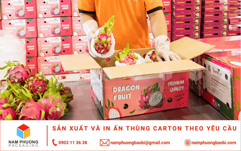 làm thùng carton đựng thanh long xuất khẩu giá rẻ có ngay tại tphcm