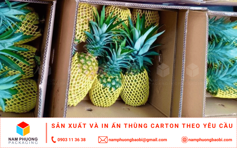 làm thùng carton đựng dứa giá rẻ ở đâu tphcm