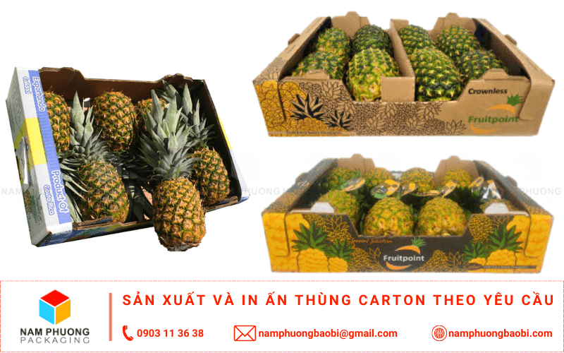 làm thùng carton đựng dứa giá rẻ ở đâu tphcm