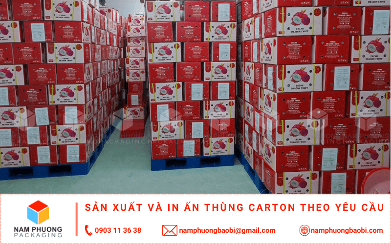 làm thùng carton đựng thanh long xuất khẩu giá rẻ có ngay tại tphcm