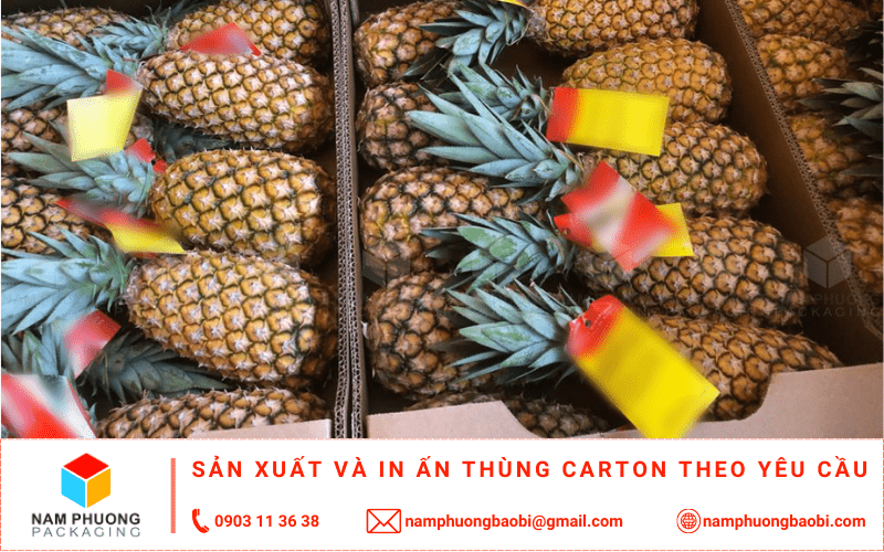 làm thùng carton đựng dứa giá rẻ ở đâu tphcm