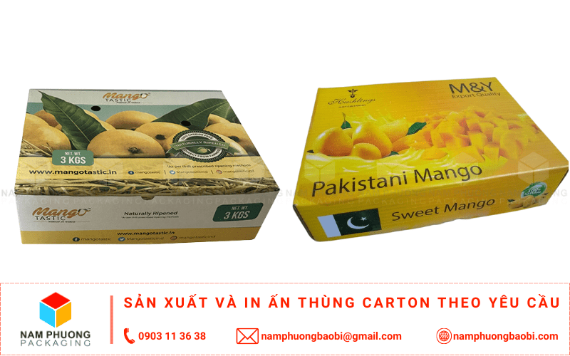 sản xuất thùng carton đựng xoài giá rẻ ở đâu