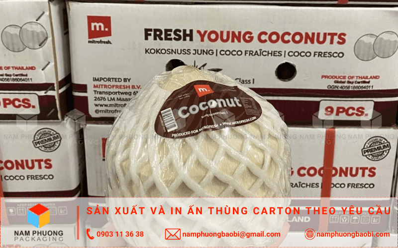 mua thùng đựng dừa xuất khẩu giá rẻ ở đâu