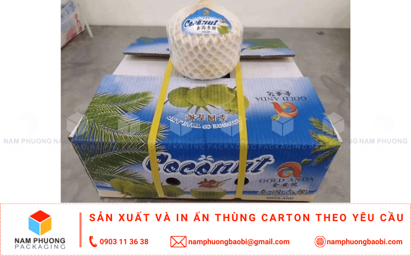 mua thùng đựng dừa xuất khẩu giá rẻ ở đâu
