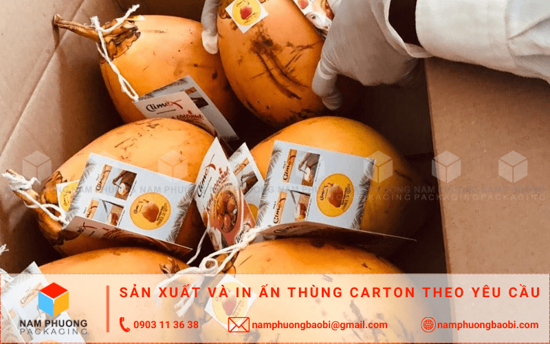 mua thùng đựng dừa xuất khẩu giá rẻ ở đâu