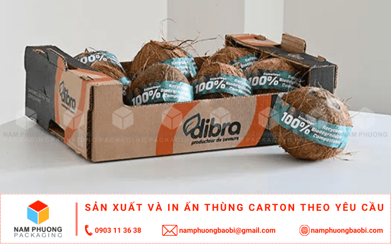 mua thùng đựng dừa xuất khẩu giá rẻ ở đâu