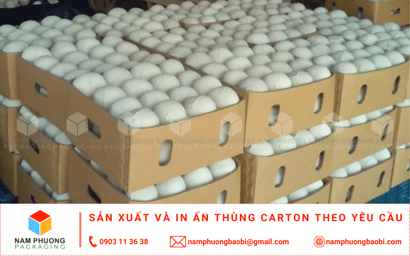 mua thùng đựng dừa xuất khẩu giá rẻ ở đâu